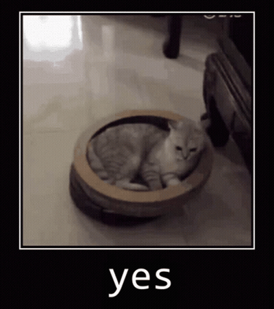 A Cat Is Laying In A Cardboard Box On Top Of A Robot Vacuum Cleaner . GIF