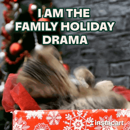 A Cat Is Laying In A Christmas Gift Box With The Caption I Am The Family Holiday Drama GIF