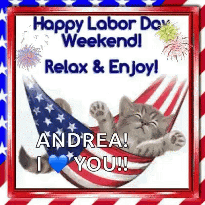 A Cat Is Laying In A Hammock With An American Flag On It . GIF