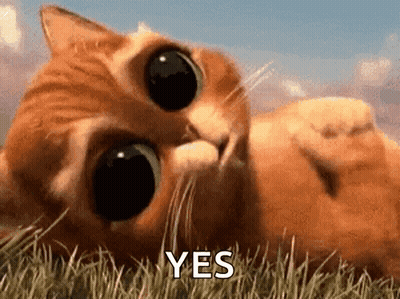 A Cat Is Laying In The Grass And Says Yes GIF