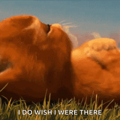 A Cat Is Laying In The Grass With The Words " I Do Wish I Were There " Written Below It GIF