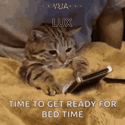 A Cat Is Laying On A Bed Looking At A Cell Phone With The Words Lux Time To Get Ready For Bed Time Written Below It GIF
