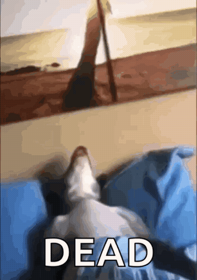 A Cat Is Laying On A Bed Next To A Picture Of A Person Walking On The Beach And The Word Dead GIF