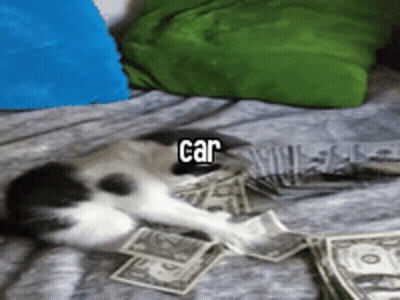A Cat Is Laying On A Bed Next To A Pile Of Money And The Word Car Is Above It GIF