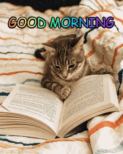 A Cat Is Laying On A Bed Reading A Book With The Words Good Morning Written Above It GIF