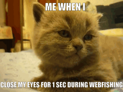 A Cat Is Laying On A Bed With A Caption That Says Me When I Close My Eyes For 1 Sec During Webfishing GIF