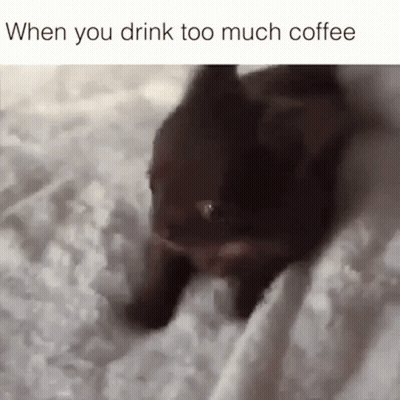 A Cat Is Laying On A Bed With A Caption That Says When You Drink Too Much Coffee . GIF