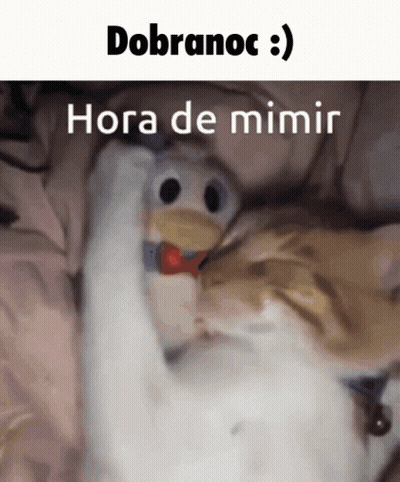 A Cat Is Laying On A Bed With A Stuffed Duck And The Words " Dobranoc " Written Above It GIF