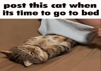 A Cat Is Laying On A Bed With A Towel Over It And The Caption Post This Cat When Its Time To Go To Bed GIF
