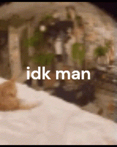 A Cat Is Laying On A Bed With The Words Idk Man On The Bottom GIF