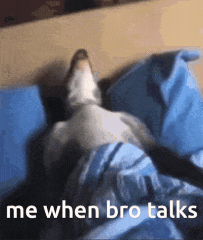 A Cat Is Laying On A Bed With The Words " Me When Bro Talks " Below It GIF
