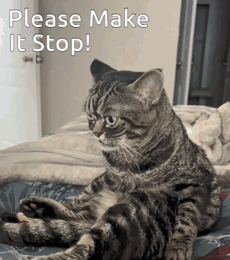 A Cat Is Laying On A Bed With The Words Please Make It Stop Written Above It GIF