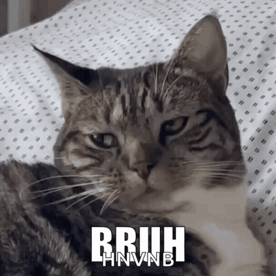 A Cat Is Laying On A Bed With The Words Rruih Hnvnb Written On It GIF