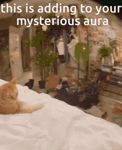 A Cat Is Laying On A Bed With The Words " This Is Adding To Your Mysterious Aura " Above It GIF