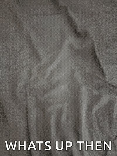 A Cat Is Laying On A Bed With The Words `` Whats Up Then '' Written Below It . GIF