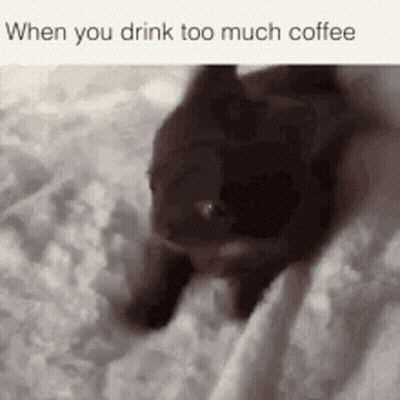 A Cat Is Laying On A Bed With The Words When You Drink Too Much Coffee On The Bottom GIF