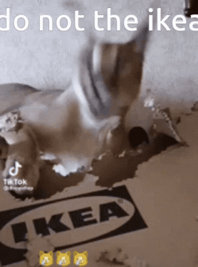 A Cat Is Laying On A Cardboard Box That Says Ikea On It GIF