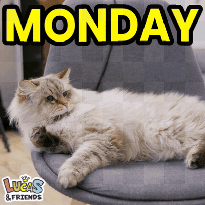 A Cat Is Laying On A Chair With The Words Monday Written Above It GIF