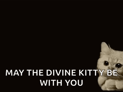 A Cat Is Laying On A Cloud With The Words `` May The Divine Kitty Be With You '' Written Below It . GIF