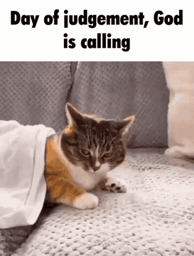 A Cat Is Laying On A Couch Under A Blanket With The Words Day Of Judgement God Is Calling GIF