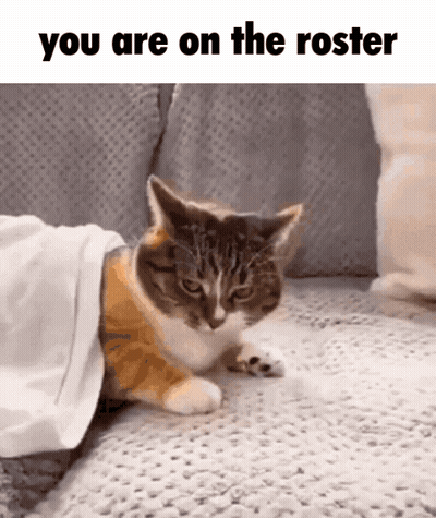 A Cat Is Laying On A Couch Under A Blanket With The Words " You Are On The Roster " Above It . GIF