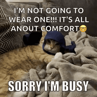 A Cat Is Laying On A Couch Wearing A Blue Hat And Glasses . GIF