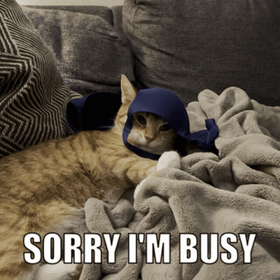 A Cat Is Laying On A Couch With A Caption That Says Sorry I M Busy GIF