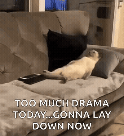 A Cat Is Laying On A Couch With The Words Too Much Drama Today Gonna Lay Down Now Below It GIF