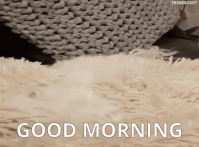 A Cat Is Laying On A Fluffy Blanket And Says Good Morning . GIF