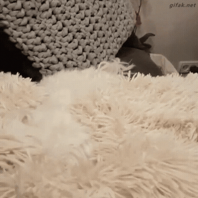 A Cat Is Laying On A Fluffy White Blanket .. GIF