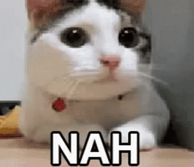 A Cat Is Laying On A Person 'S Lap And Looking At The Camera With The Words `` Nah '' Written On It . GIF