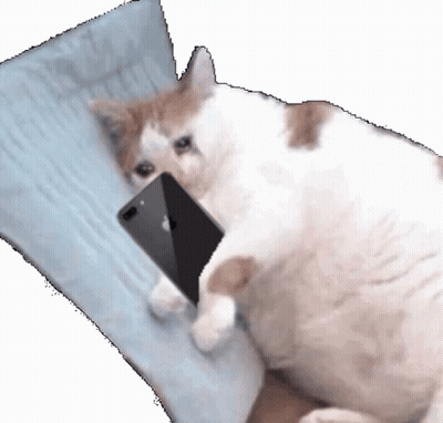 A Cat Is Laying On A Pillow Holding An Apple Phone GIF