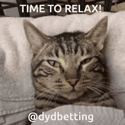 A Cat Is Laying On A Pillow With The Words Time To Relax Written Above It GIF