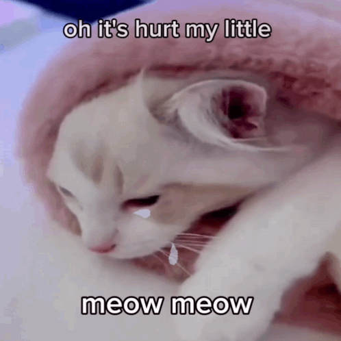 A Cat Is Laying On A Pink Blanket With A Caption That Says Oh It 'S Hurt My Little Meow Meow GIF