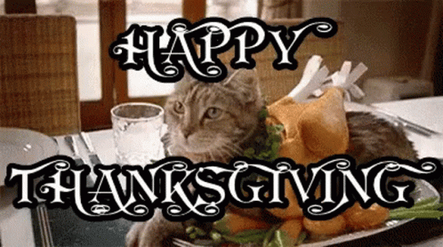 A Cat Is Laying On A Plate Of Food With The Words Happy Thanksgiving Written Below It GIF