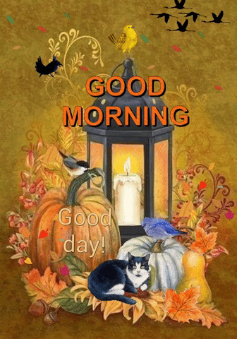 A Cat Is Laying On A Pumpkin Next To A Lantern With A Candle And The Words Good Morning Good Day GIF