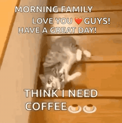 A Cat Is Laying On A Set Of Stairs And Says Morning Family Love You Guys GIF