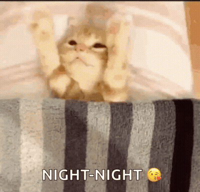 A Cat Is Laying On A Striped Blanket And Says Night Night GIF