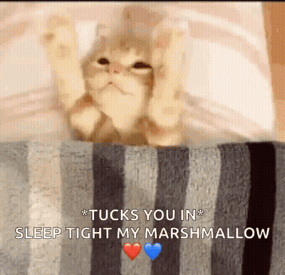 A Cat Is Laying On A Striped Blanket With Its Paws In The Air . GIF