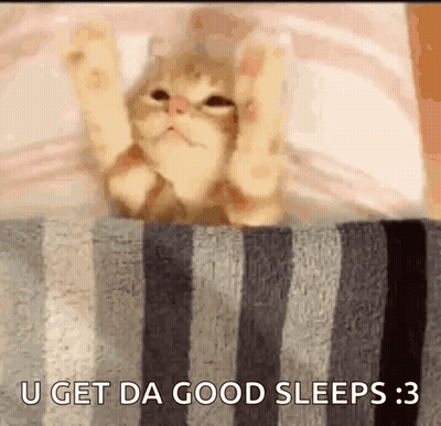 A Cat Is Laying On A Striped Blanket With The Words U Get Da Good Sleeps 3 GIF
