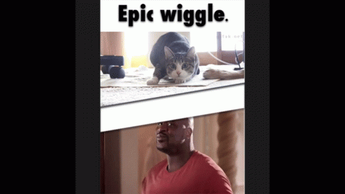 A Cat Is Laying On A Table Next To A Man In A Red Shirt GIF