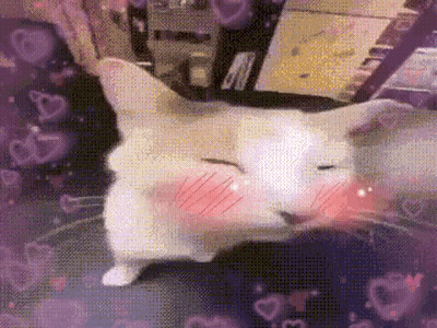 A Cat Is Laying On A Table With Its Eyes Closed And Hearts Flying Around It . GIF