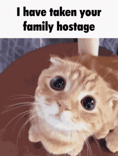 A Cat Is Laying On A Table With The Caption I Have Taken Your Family Hostage GIF
