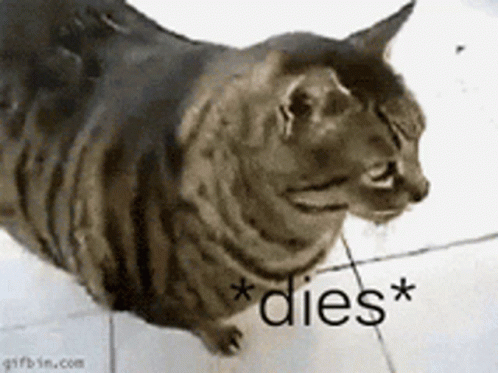 A Cat Is Laying On A Tiled Floor With The Words * Dies * Written On It GIF