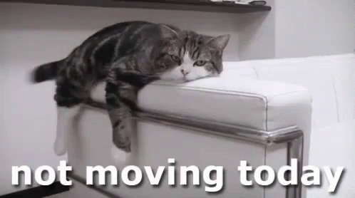 A Cat Is Laying On A White Couch With The Words `` Not Moving Today '' Above It . GIF