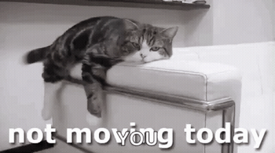 A Cat Is Laying On A White Couch With The Words `` Not Moving Today '' Written Above It . GIF