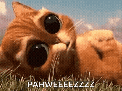 A Cat Is Laying On Its Back In The Grass And Looking Up At The Camera . GIF