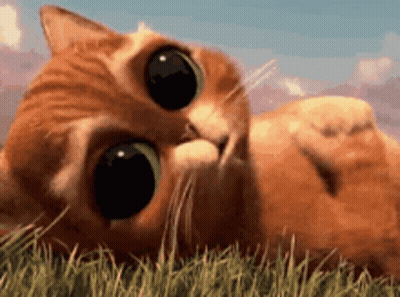A Cat Is Laying On Its Back In The Grass Looking At The Camera . GIF