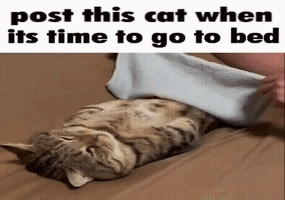 A Cat Is Laying On Its Back On A Bed With A Towel On Its Head . GIF