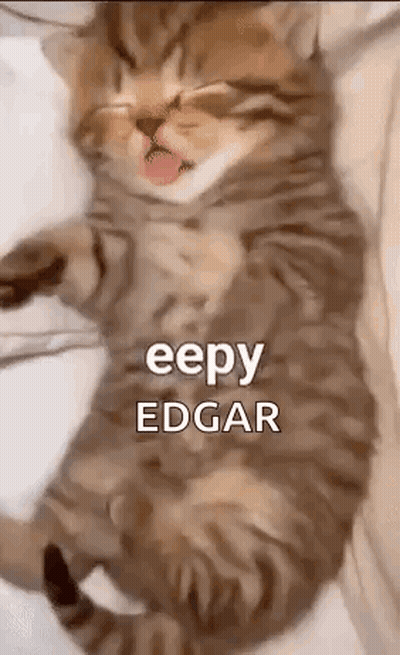 A Cat Is Laying On Its Back On A Bed With Its Tongue Hanging Out . GIF